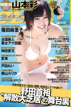 村里美人香小说全文